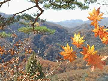 美女雪山旅游攻略,雪山妹子