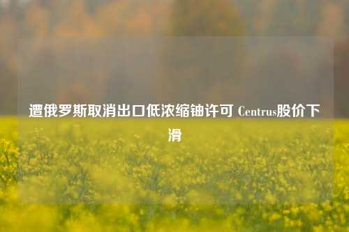 遭俄罗斯取消出口低浓缩铀许可 Centrus股价下滑