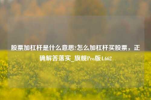 股票加杠杆是什么意思?怎么加杠杆买股票，正确解答落实_旗舰Pro版4.662