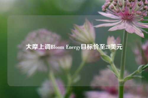 大摩上调Bloom Energy目标价至28美元