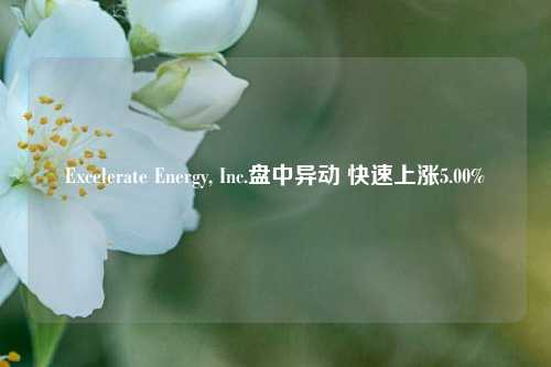 Excelerate Energy, Inc.盘中异动 快速上涨5.00%