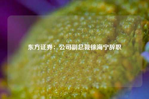 东方证券：公司副总裁徐海宁辞职