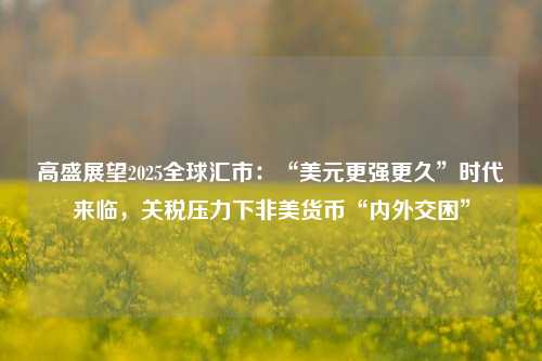 高盛展望2025全球汇市：“美元更强更久”时代来临，关税压力下非美货币“内外交困”