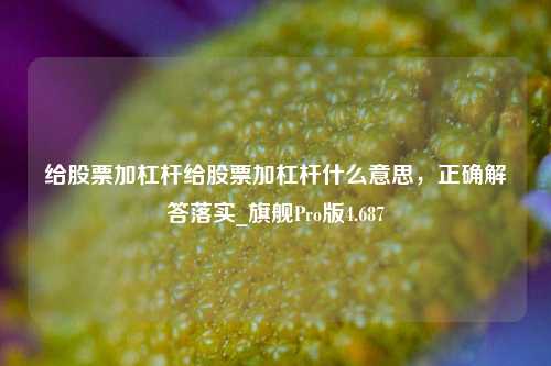 给股票加杠杆给股票加杠杆什么意思，正确解答落实_旗舰Pro版4.687