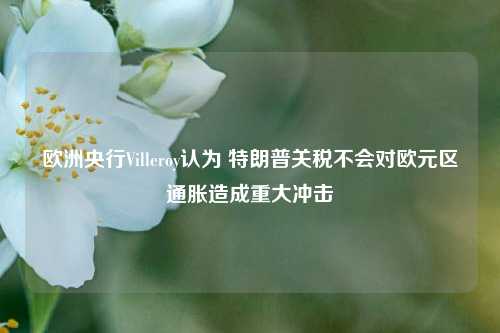 欧洲央行Villeroy认为 特朗普关税不会对欧元区通胀造成重大冲击