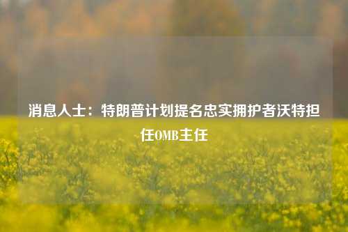 消息人士：特朗普计划提名忠实拥护者沃特担任OMB主任