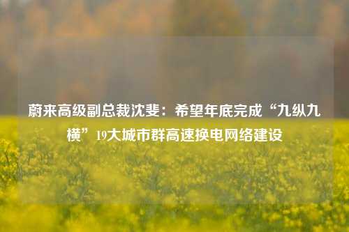 蔚来高级副总裁沈斐：希望年底完成“九纵九横”19大城市群高速换电网络建设