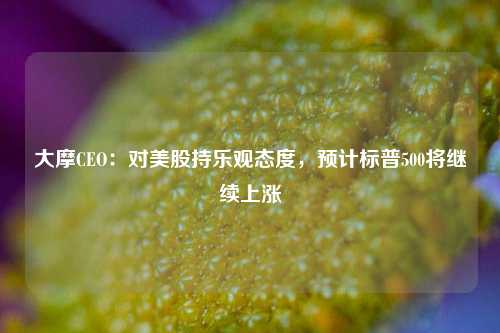 大摩CEO：对美股持乐观态度，预计标普500将继续上涨