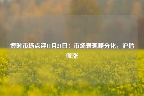 博时市场点评11月21日：市场表现略分化，沪指微涨