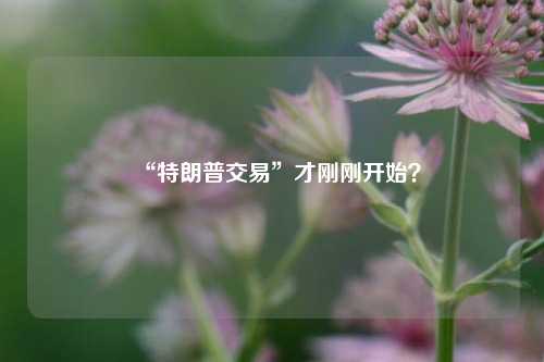 “特朗普交易”才刚刚开始？