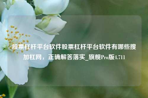 股票杠杆平台软件股票杠杆平台软件有哪些搜加杠网，正确解答落实_旗舰Pro版4.711