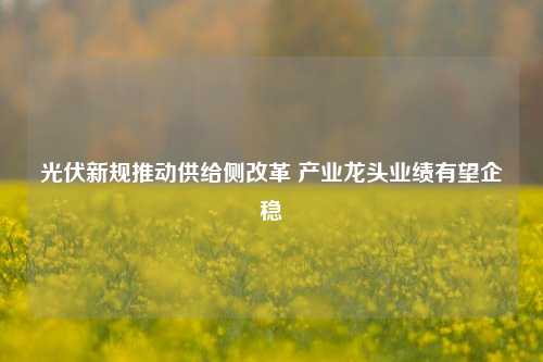 光伏新规推动供给侧改革 产业龙头业绩有望企稳