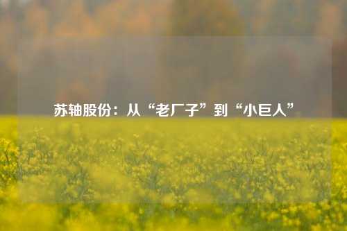 苏轴股份：从“老厂子”到“小巨人”