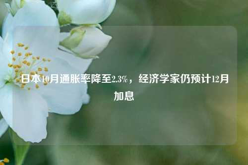 日本10月通胀率降至2.3%，经济学家仍预计12月加息