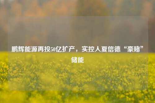 鹏辉能源再投50亿扩产，实控人夏信德“豪赌”储能