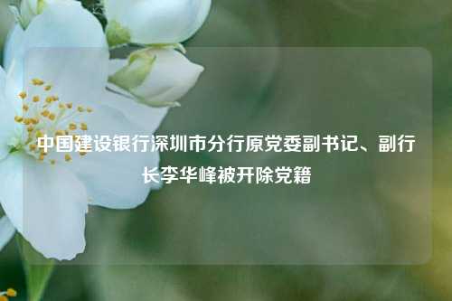 中国建设银行深圳市分行原党委副书记、副行长李华峰被开除党籍