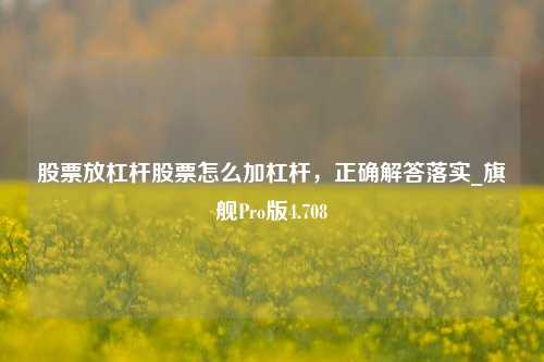 股票放杠杆股票怎么加杠杆，正确解答落实_旗舰Pro版4.708