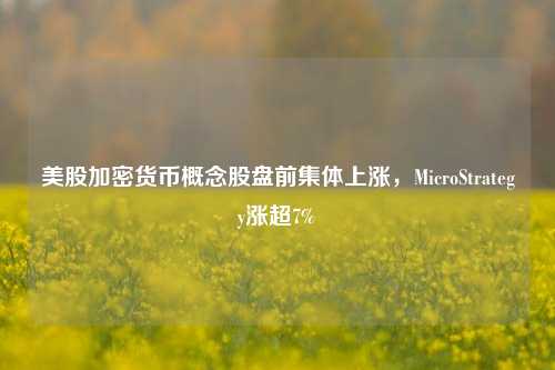 美股加密货币概念股盘前集体上涨，MicroStrategy涨超7%