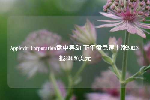 Applovin Corporation盘中异动 下午盘急速上涨5.02%报334.20美元