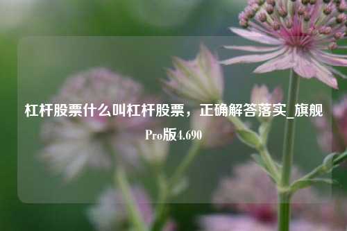 杠杆股票什么叫杠杆股票，正确解答落实_旗舰Pro版4.690