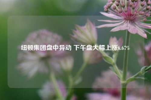 纽顿集团盘中异动 下午盘大幅上涨6.67%