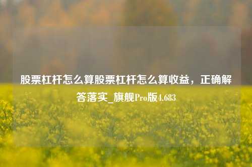 股票杠杆怎么算股票杠杆怎么算收益，正确解答落实_旗舰Pro版4.683