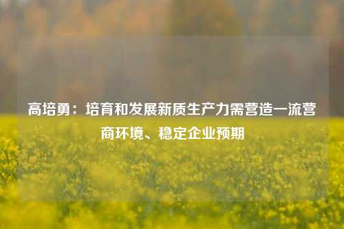 高培勇：培育和发展新质生产力需营造一流营商环境、稳定企业预期