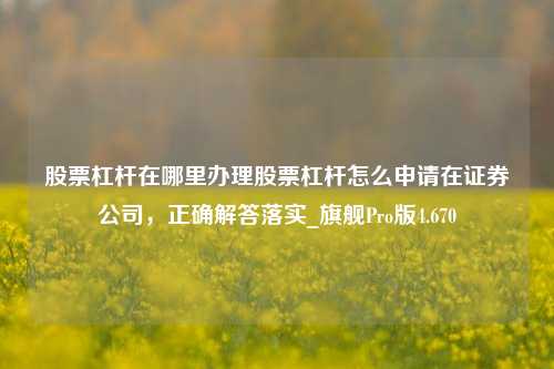 股票杠杆在哪里办理股票杠杆怎么申请在证券公司，正确解答落实_旗舰Pro版4.670