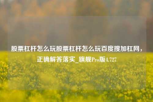 股票杠杆怎么玩股票杠杆怎么玩百度搜加杠网，正确解答落实_旗舰Pro版4.727