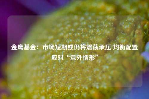 金鹰基金：市场短期或仍将震荡承压 均衡配置应对“意外情形”