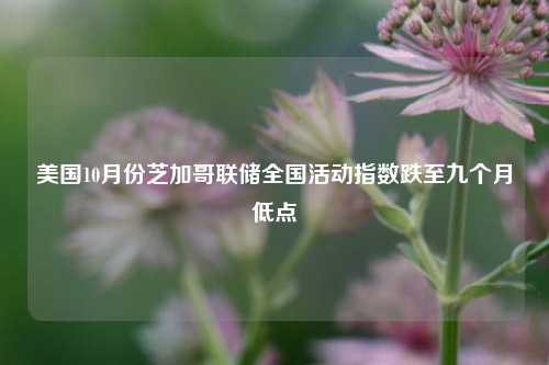 美国10月份芝加哥联储全国活动指数跌至九个月低点