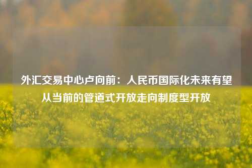 外汇交易中心卢向前：人民币国际化未来有望从当前的管道式开放走向制度型开放