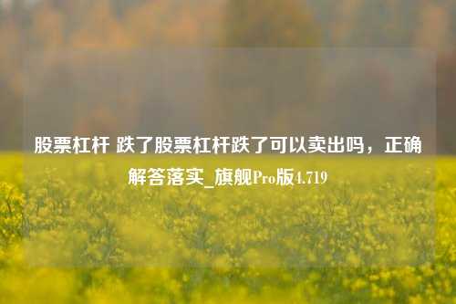 股票杠杆 跌了股票杠杆跌了可以卖出吗，正确解答落实_旗舰Pro版4.719