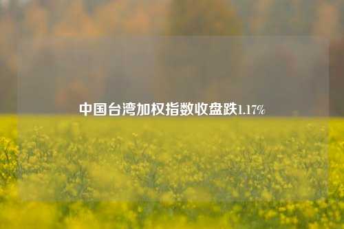 中国台湾加权指数收盘跌1.17%