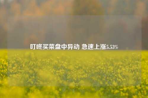 叮咚买菜盘中异动 急速上涨5.53%