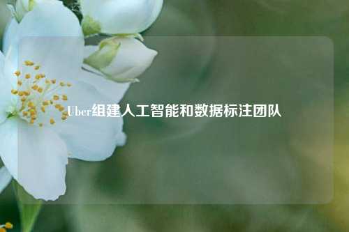 Uber组建人工智能和数据标注团队