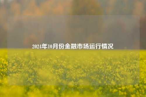 2024年10月份金融市场运行情况