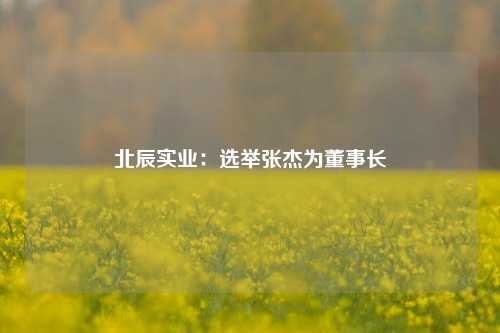 北辰实业：选举张杰为董事长