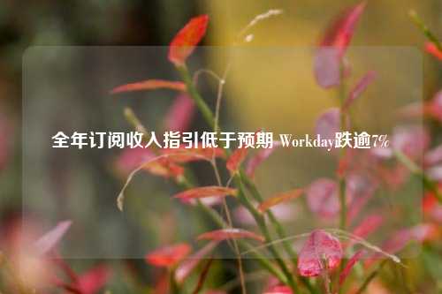 全年订阅收入指引低于预期 Workday跌逾7%