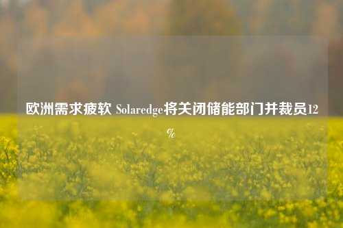 欧洲需求疲软 Solaredge将关闭储能部门并裁员12%