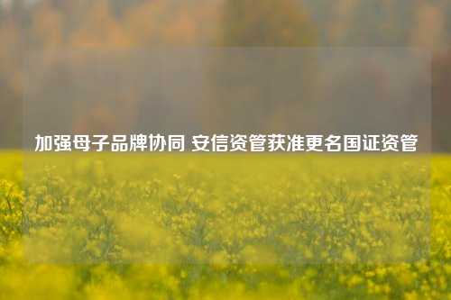 加强母子品牌协同 安信资管获准更名国证资管