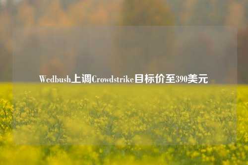 Wedbush上调Crowdstrike目标价至390美元