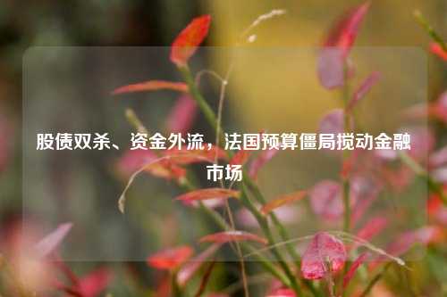 股债双杀、资金外流，法国预算僵局搅动金融市场