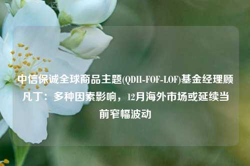 中信保诚全球商品主题(QDII-FOF-LOF)基金经理顾凡丁：多种因素影响，12月海外市场或延续当前窄幅波动