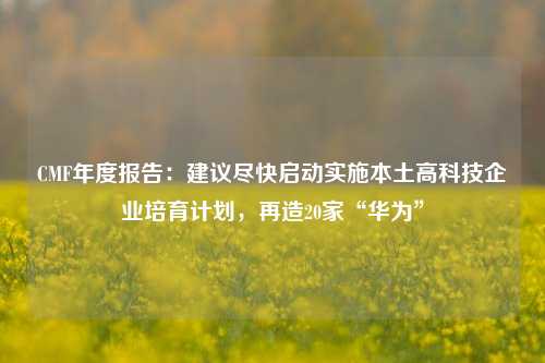 CMF年度报告：建议尽快启动实施本土高科技企业培育计划，再造20家“华为”