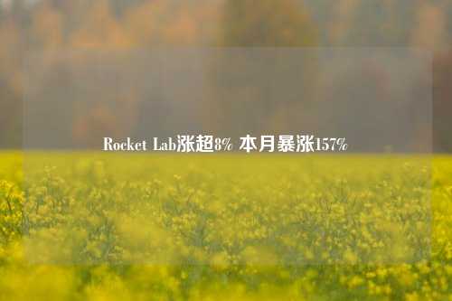 Rocket Lab涨超8% 本月暴涨157%