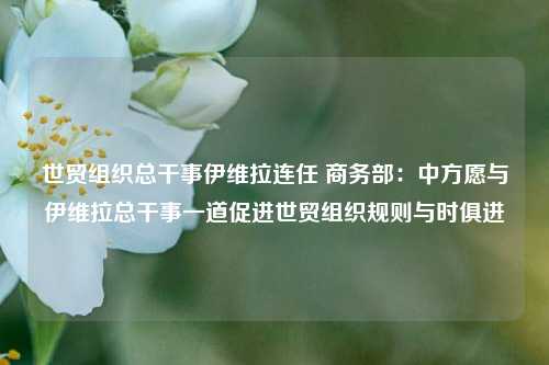 世贸组织总干事伊维拉连任 商务部：中方愿与伊维拉总干事一道促进世贸组织规则与时俱进