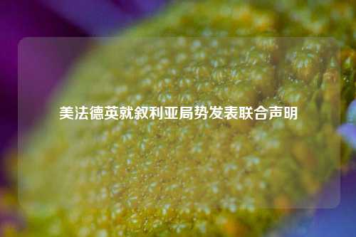 美法德英就叙利亚局势发表联合声明