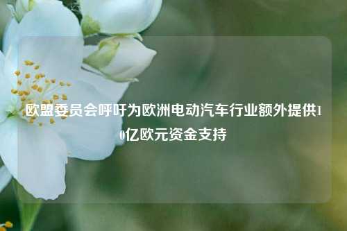 欧盟委员会呼吁为欧洲电动汽车行业额外提供10亿欧元资金支持