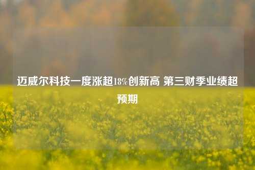 迈威尔科技一度涨超18%创新高 第三财季业绩超预期